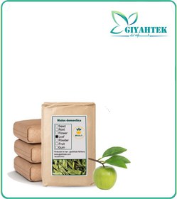 تصویر برگ درخت سیب خشک فله 