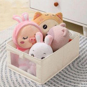 تصویر باکس نظم دهنده لباس 