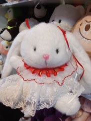 تصویر خرگوش گوش بلند aaaa