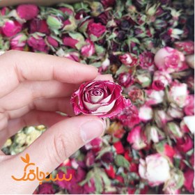 تصویر پک غنچه رز ۲۰ مدل( عمده) 