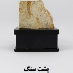 تصویر سنگ شجر فسیلی (دندریتی ) کد 2358 