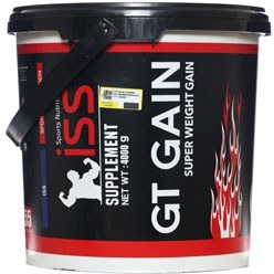 تصویر جی تی گین 4000 گرمی آی اس اس GT Gain 4000 g iSS