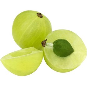 تصویر انگور فرنگی gooseberry