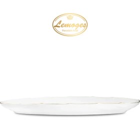 تصویر دیس ماهی خوری کوچک 