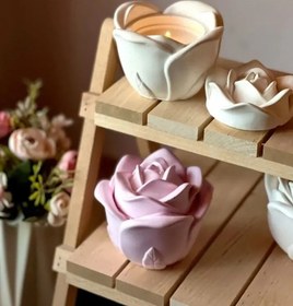 تصویر بانکه گل رز 