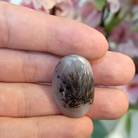 تصویر نگین شجر طبیعی کد ۱۲۰۸۷ 