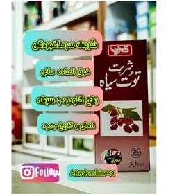 تصویر توت سیاه 