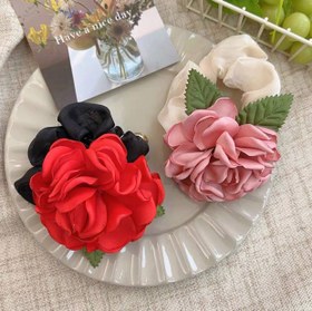 تصویر اسکرانچی گل بزرگ 