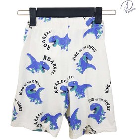 تصویر شلوارک پسرانه کد 1004 H 