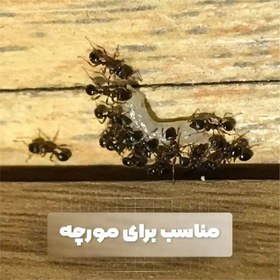 تصویر ژل سوسک کش فیبروکیل 5 گرمی (fibrokill) 