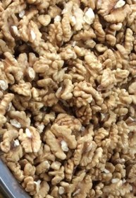 تصویر مغز گردو ايرانى 