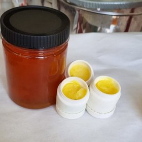 تصویر معجون ژل رویال (30 گرم+ یک کیلو عسل) 