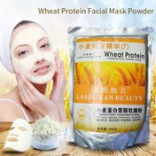تصویر ماسک پودری (لاتکسی) جوانه گندم پروتئین لایو یان بیوتی 