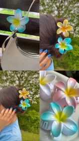 تصویر کلیپس پلومریا کد01 