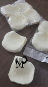 تصویر گلبرگ لمسی golbargh lamsi