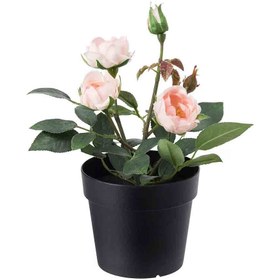 تصویر گلدان گل رز مصنوعی ایکیا مدل FEJKA IKEA FEJKA Artificial potted plant, in/outdoor/Rose pink, 9 cm