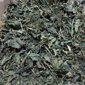 تصویر گزنه خشک 