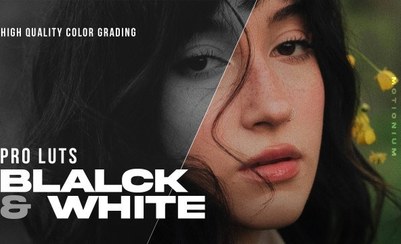 تصویر 15 پریست اصلاح رنگ پریمیر سیاه و سفید | Black And White LUTs 