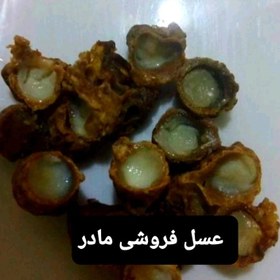 تصویر ژل رویال ایرانی40گرم(عسل فروشی مادر ) 