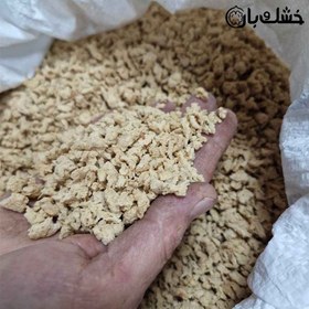 تصویر سویا سبحان 