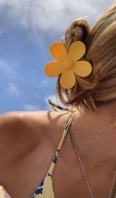 تصویر کلیپس فانتزی طرح گل 