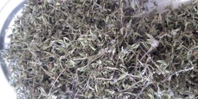 تصویر آویشن کوهی ۱۰۰ گرم 