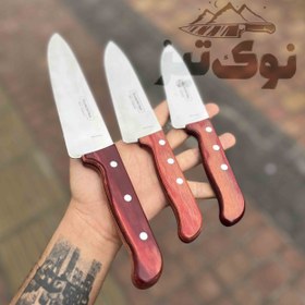 تصویر چاقو آشپزخانه برزیلی ترامانتینو اورجینال دسته چوبی 