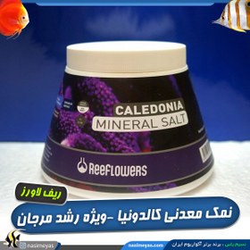 تصویر نمک معدنی رشد مرجان کالدونیا مینرال سالت ریف لاورز Reeflowers Minerals gH+