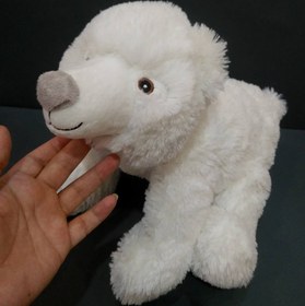 تصویر عروسک خرس قطبی 