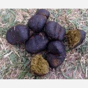 تصویر عنبر نسا امساله بهاره 50گرمی 