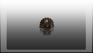 تصویر سرپنجه پرچین قهوه ای سوخته 