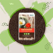 تصویر خاک کاکتوس گراموفلور آلمانی – حجم 5 لیتر Gramoflor Soil for Cactus Mixture