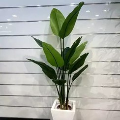 تصویر درختچه مصنوعی پرنده بهشتی ارتفاع 1،80 