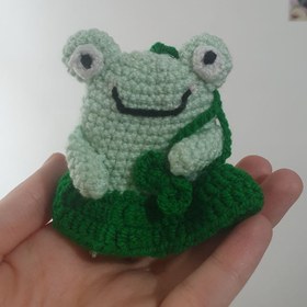 تصویر کاور کلید قورباغه 