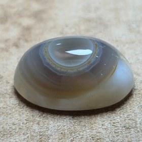 تصویر باباقوری طبیعی خاص زیبا 