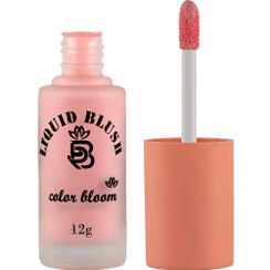 تصویر رژگونه مایع مدل Color Bloom حجم 12 گرم برانوس 901 Branous Color Bloom Liquid Blush 12 ml