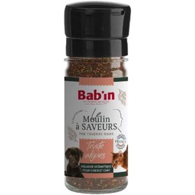 تصویر پودر طعم دهنده غذای خشک سگ و گربه بابین فرانسه طعم ماهی قزل آلا و جلبک 45 گرم Babin Flavour Mill With Mill - Seaweed 45G