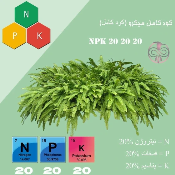 خرید و قیمت کود NPK 202020 وزن ۵۰ گرم ترب
