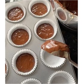 تصویر کپسول دانمارکی 