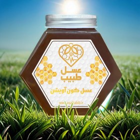 تصویر عسل آویشن 