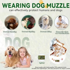 تصویر پوزه بند سگ سایز 6 