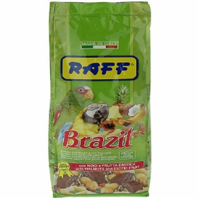 تصویر خوراک آجیلی کاسکو و طوطی سانان بزرگ جثه برزیل راف RAFF Brazil 