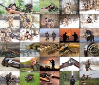 تصویر مجموعه 62 عکس با کیفیت شاتر استوک با موضوع شکار 