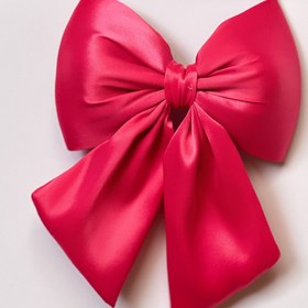 تصویر پاپیون فرانسوی 