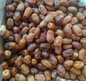 تصویر خرما زاهدی معمولی 