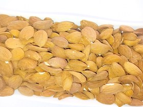 تصویر مغز بادام ایرانی iranian almond kernels