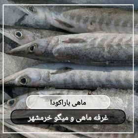 تصویر ماهی باراکودا (چنگو)سایز متوسط تازه و صید روز (پک یک کیلویی)بسیار خوشمزه و لذیذ مناسب برای خورشت و سرخ کردن 