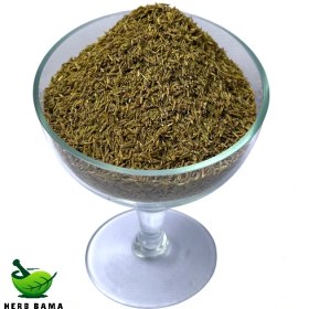 تصویر زیره سبز دان 