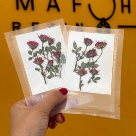 تصویر غنچه ساناز پرس شده قرمز 