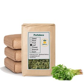 تصویر گیاه خرفه خشک فله 